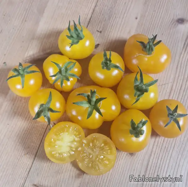 Tomaten: Fablonelystyni