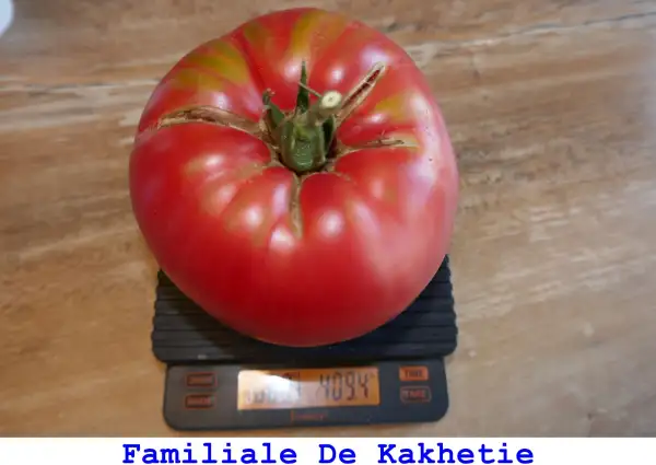 Tomaten: Familiale De Kakhetie