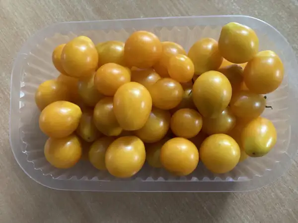 Tomaten: Fargo