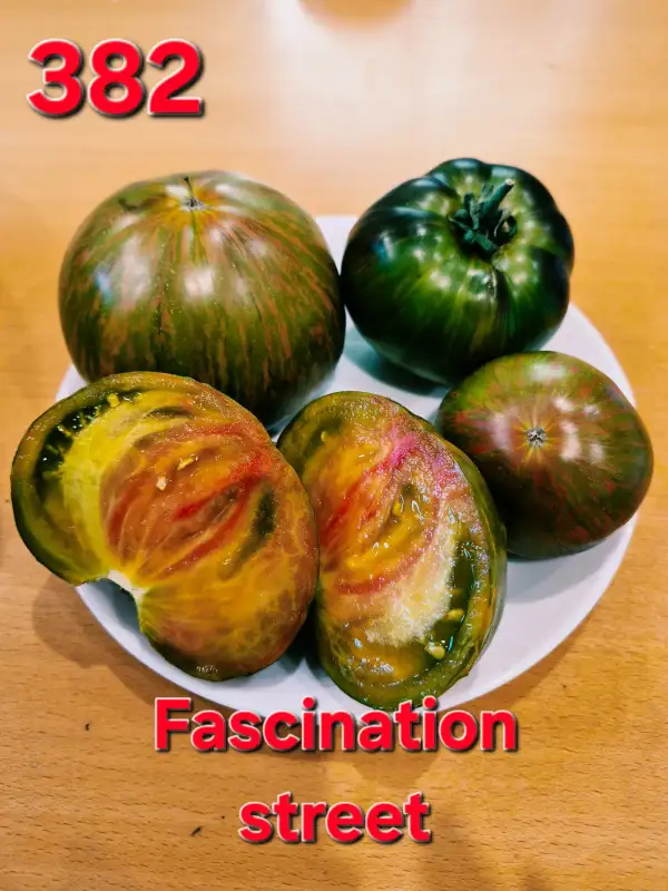 Tomaten: Fascination street