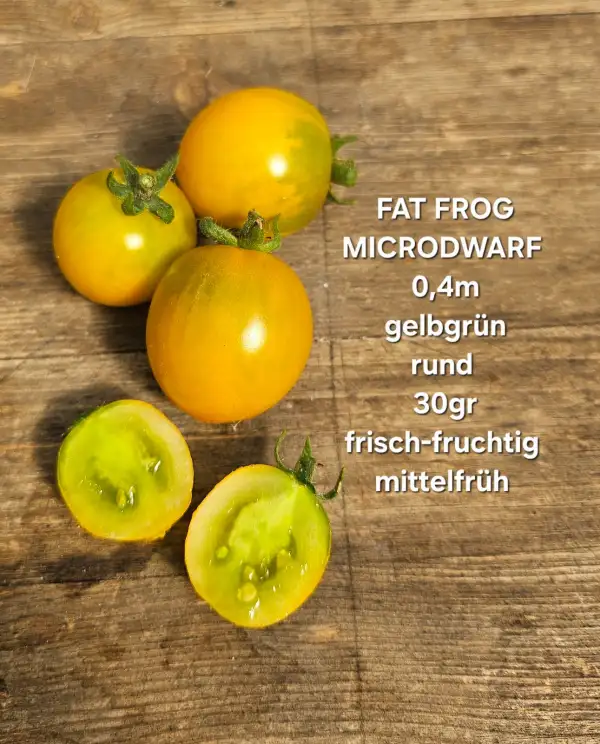 Tomaten: Fat Frog