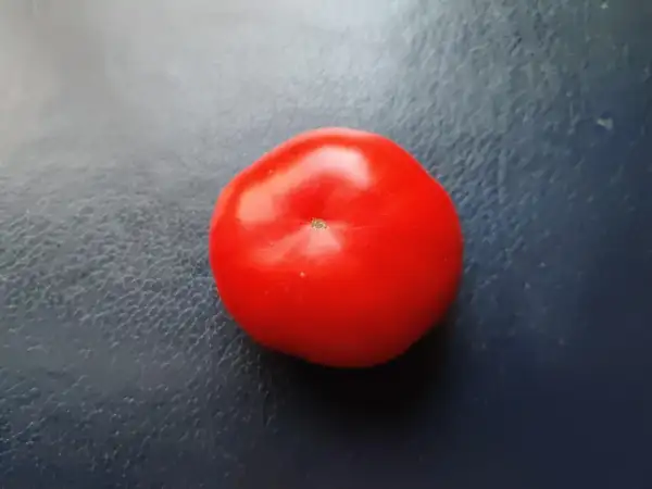 Tomaten: Fat Jack