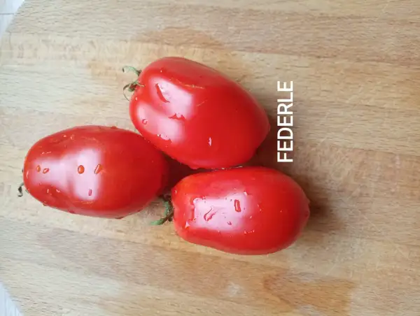 Tomaten: Federle