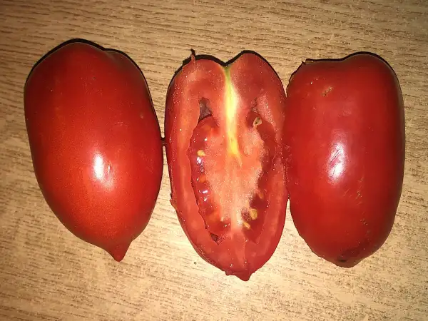 Tomaten: Federle