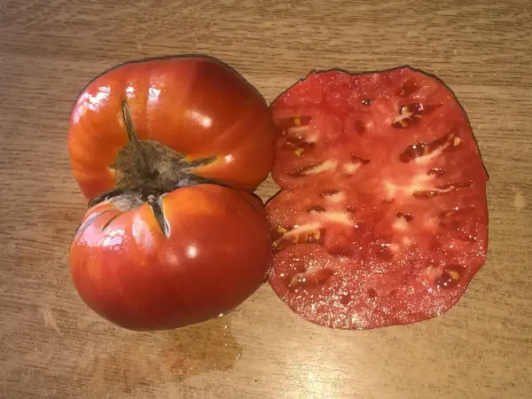 Tomaten: Feo de Tudela