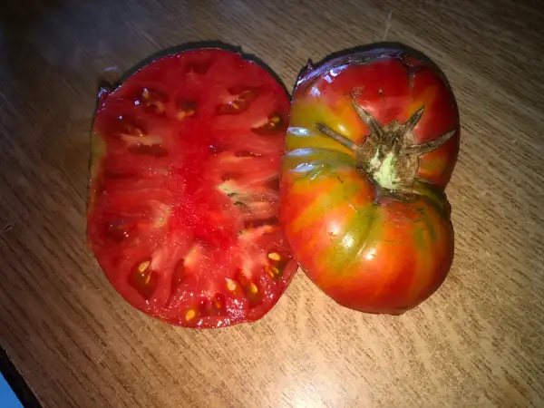 Tomaten: Ferris Wheel