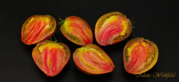 Tomaten: Fesselndes Herz