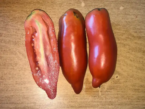 Tomaten: Fetterman Red Devils