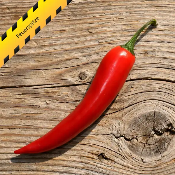 Chili: Feuerspitze
