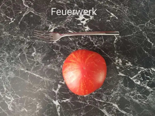 Tomaten: Feuerwerk