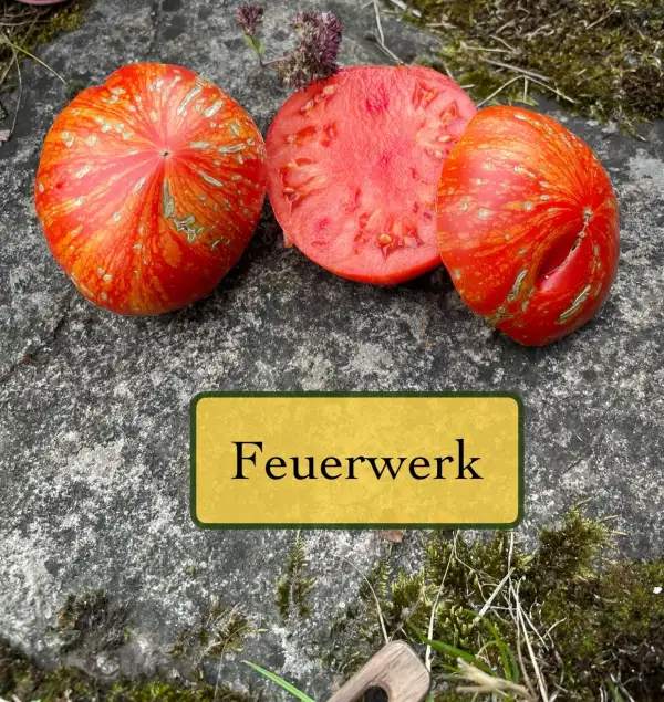 Tomaten: Feuerwerk