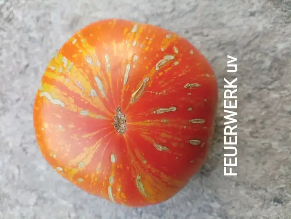 Tomaten: Feuerwerk