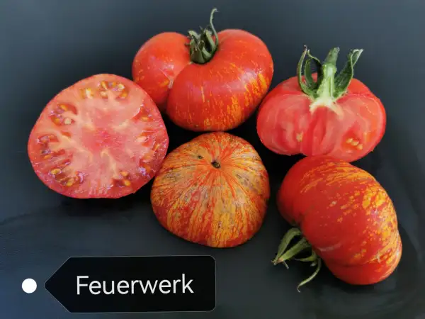 Tomaten: Feuerwerk