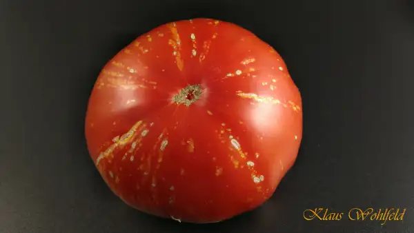Tomaten: Feuerwerk