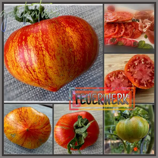 Tomaten: Feuerwerk
