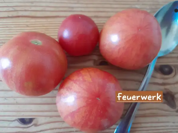 Tomaten: Feuerwerk