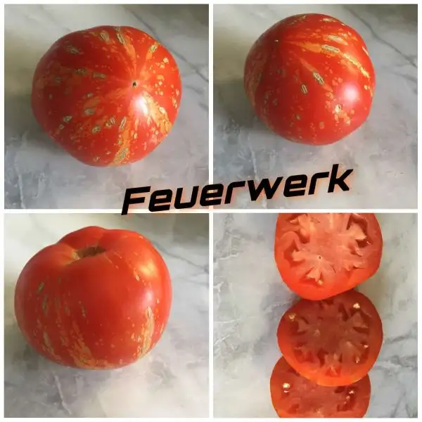 Tomaten: Feuerwerk