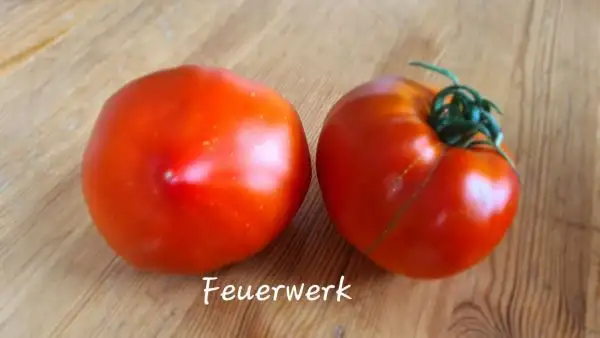 Tomaten: Feuerwerk