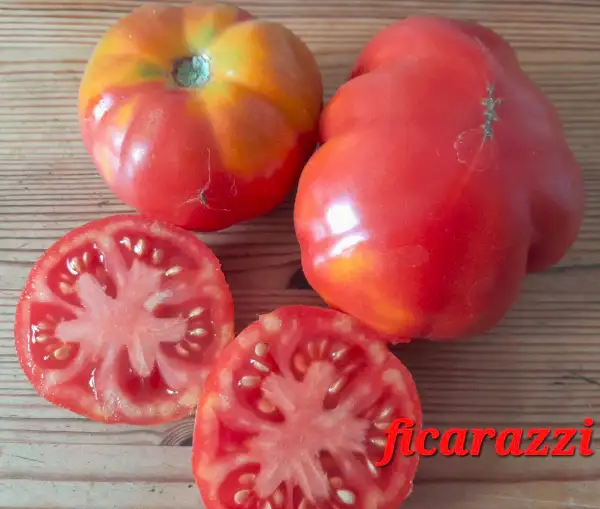 Tomaten: Ficarazzi