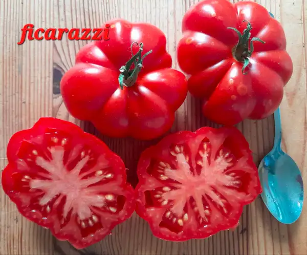 Tomaten: Ficarazzi