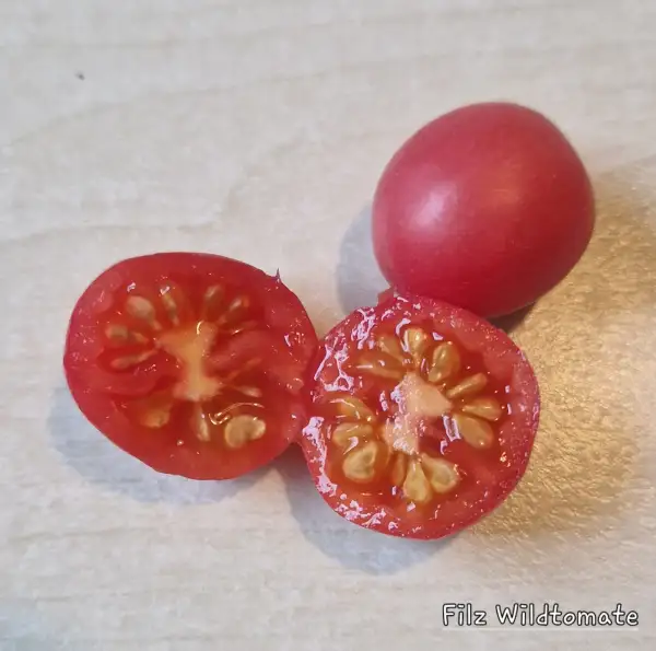 Tomaten: Filz