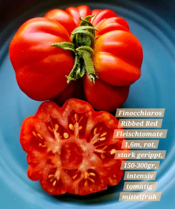 Tomaten: Finocchiaros Ribbed Red