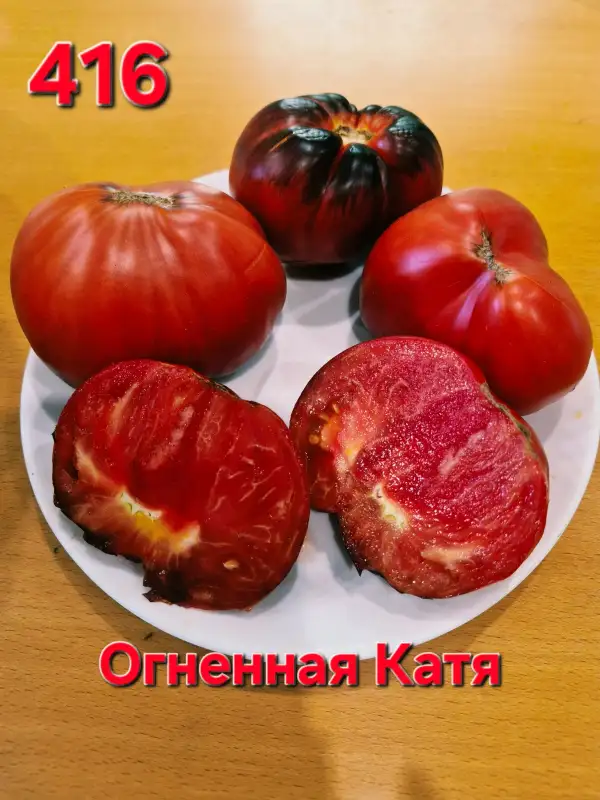 Tomaten: Fire Katya