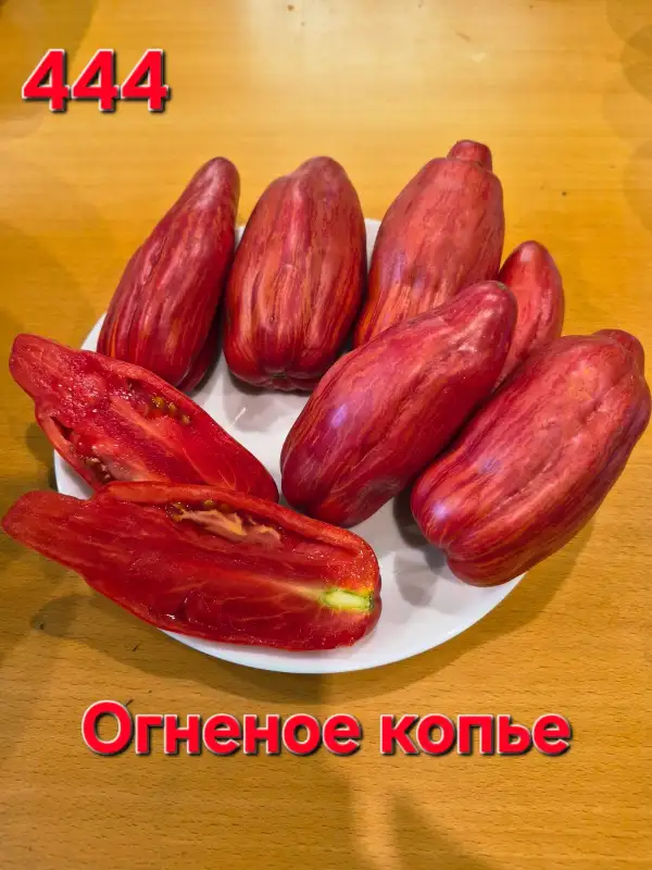 Tomaten: Fire spear