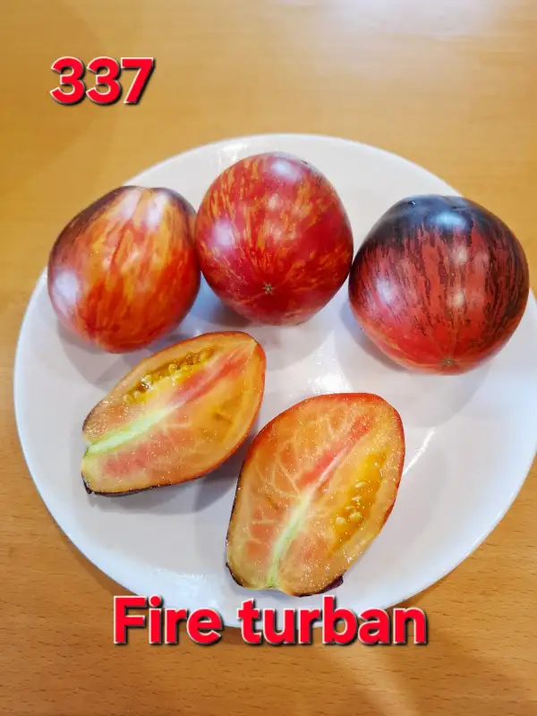 Tomaten: Fire turban