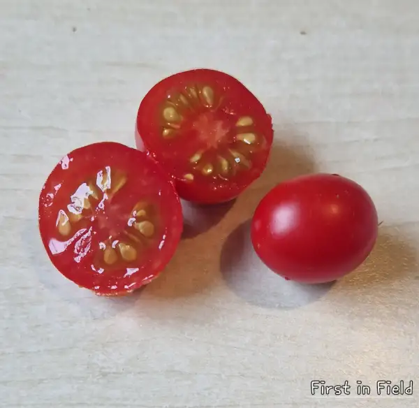 Tomaten: First in Field