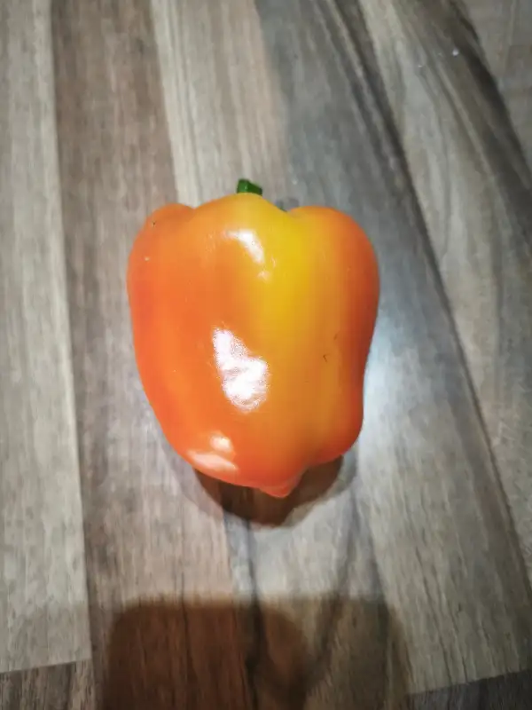Paprika: Flamingo