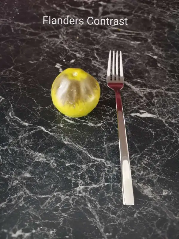 Tomaten: Flanders Contrast