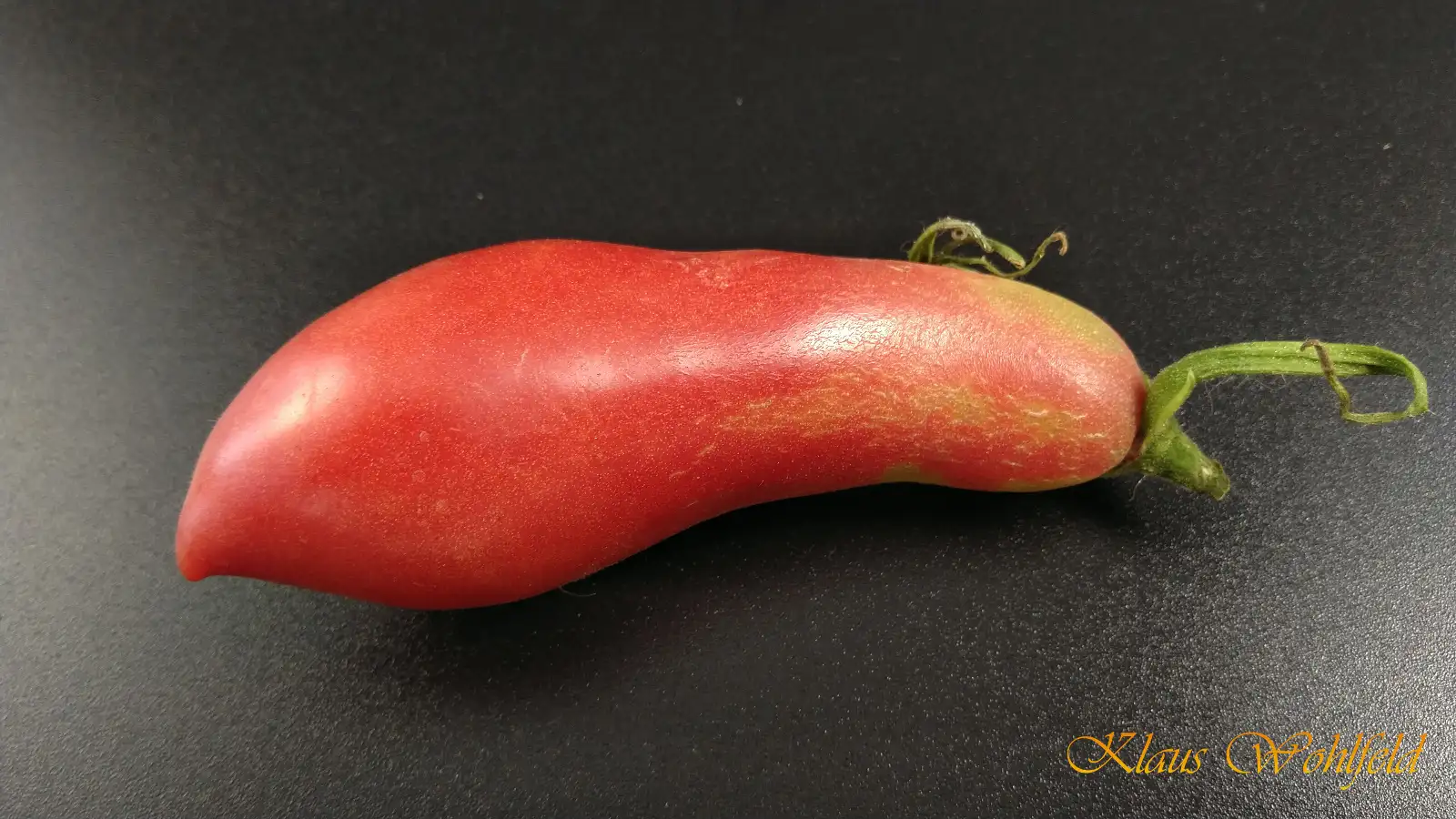 Tomaten: Flaschentomate Carnika