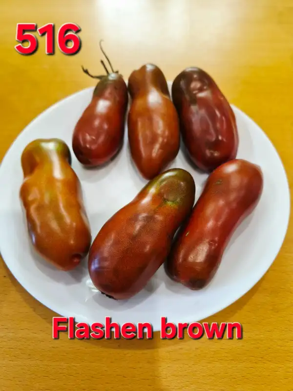 Tomaten: Flashentomate brown
