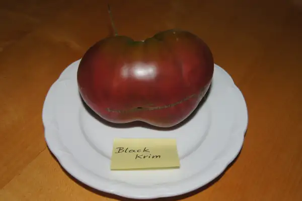 Tomaten: Fleischtom.Black Krim