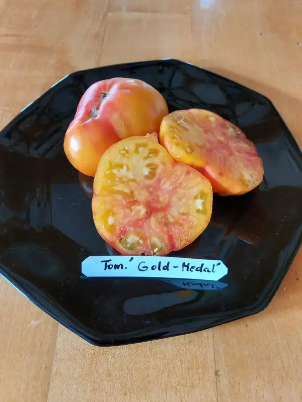 Tomaten: Fleischtom.Gold Medal