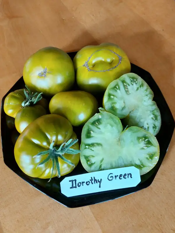 Tomaten: Fleischtom.Green Dorothy