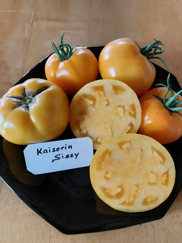 Tomaten: Fleischtom. Kaiserin Sissi