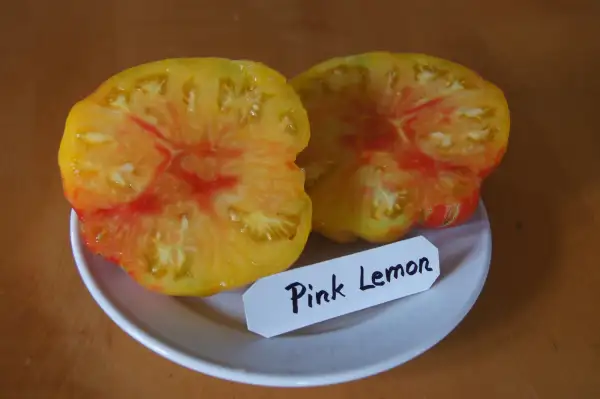 Tomaten: Fleischtom.Pink Lemon