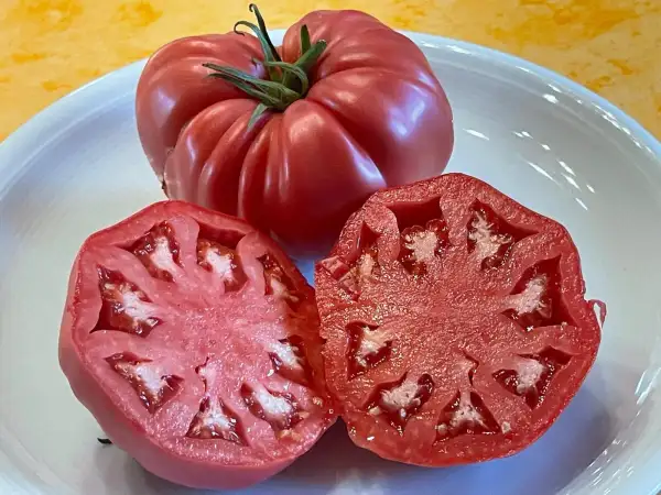 Tomaten: Fleischtomate aus Italien Rot