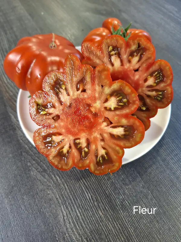 Tomaten: Fleur de Reagir