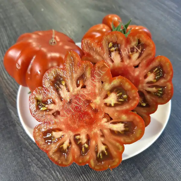 Tomaten: Fleur de Reagir