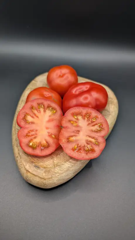 Tomaten: Flonda