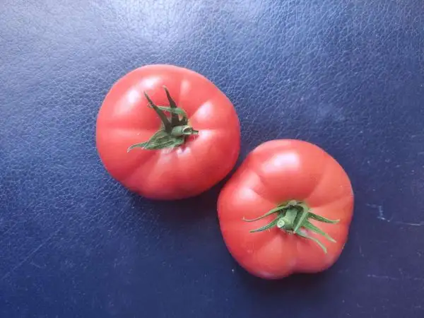 Tomaten: Flor de Balabre