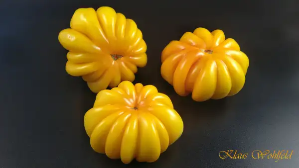 Tomaten: Florentine Beauty