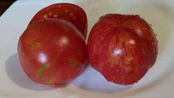 Tomaten: Flower Ball