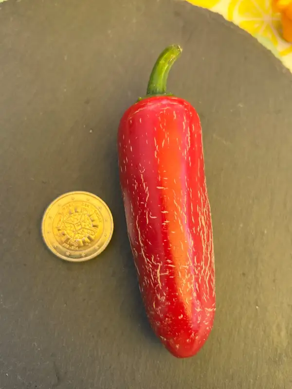 Chili / Paprika: Fox Big Jalapeño