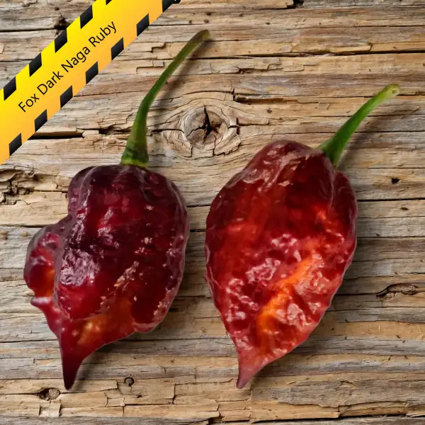 Chili: Fox Dark Naga Ruby