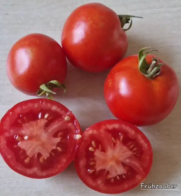 Tomaten: Frühzauber
