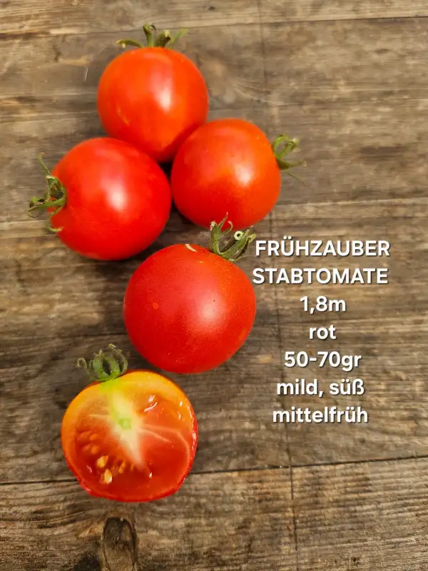 Tomaten: Frühzauber